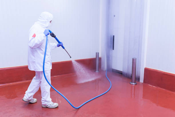 Professional Pressure Washing Services in Loudoun Valley Estates, VA